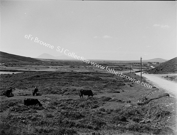 IN THE BANGOR ERRIS VALLEY